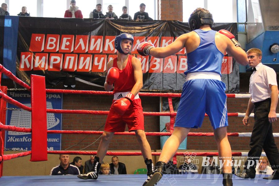 16-й Международный турнир по боксу (фото)