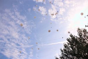 В школе №13 отметили Международный день мира (ФОТО)