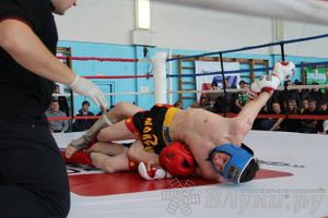 Чемпионат Псковской области по ММА