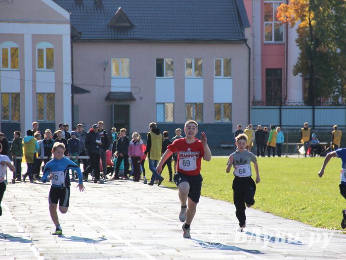 «Шиповка юных» среди великолукских школьников (фото)
