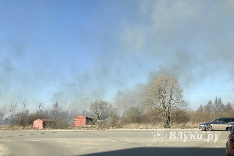 Пал травы угрожает строениям в Северном микрорайоне (ФОТО; ВИДЕО)