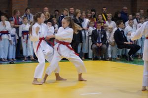 В Великих Луках прошли соревнования по каратэ (ФОТО)