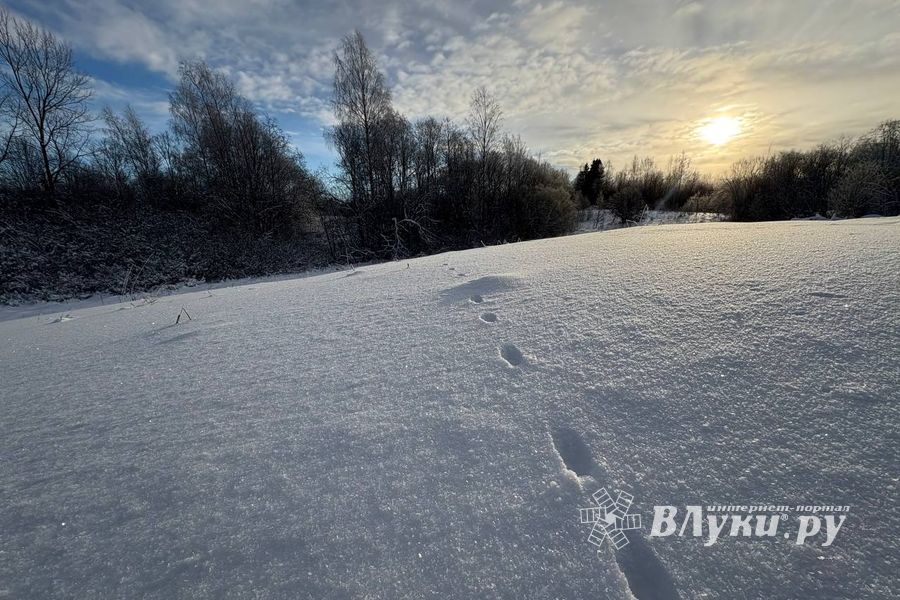 МЧС предупреждает об аномально-холодной погоде в Псковской области