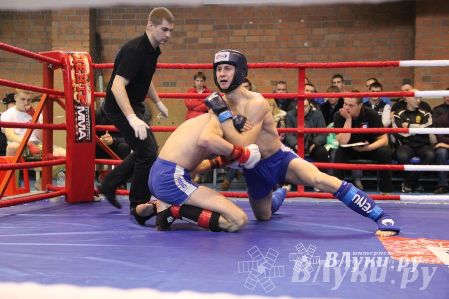 В Великих Луках прошел межрегиональный Открытый Кубок по смешанному боевому единоборству (фото)