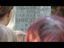 Импульс-ТВ: Академик И. М. Виноградов