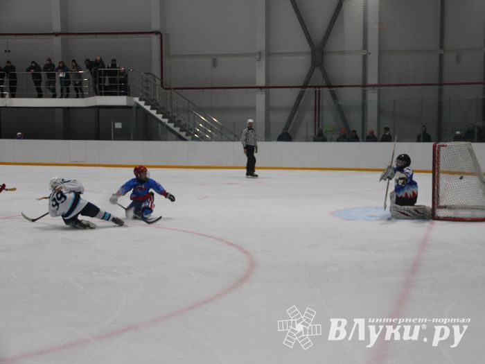 Детский турнир по хоккею прошел в Великих Луках (ФОТО)