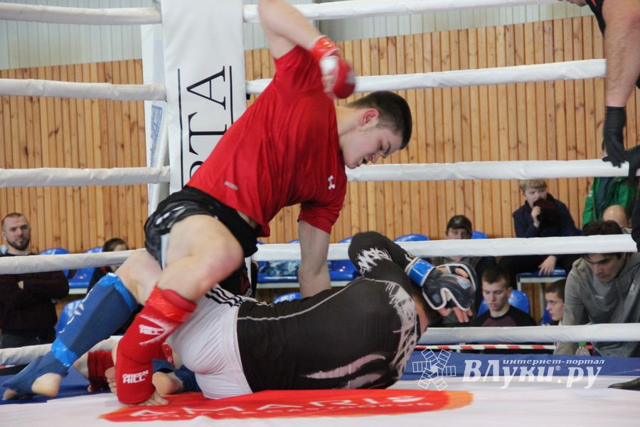Открытый кубок по смешанному боевому единоборству ММА прошел в Великих Луках (ФОТО)