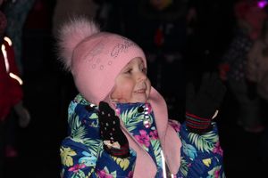 В Великих Луках зажгли Ёлку (ФОТО)