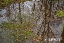 На Северо-Западе будет теплее, но дождливее