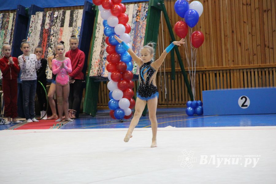 Великолучане стали призерами открытого турнира по художественной гимнастике (ФОТО)