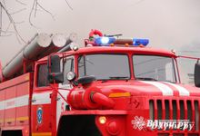 В текущем году на пожарах в Псковской области погиб 81 человек