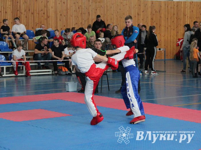 В Великих Луках проходит Кубок по кикбоксингу (ФОТО) (0+)