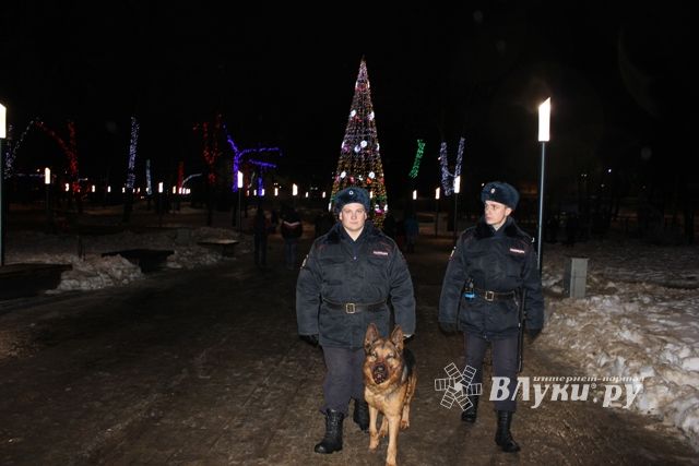 В Псковской области праздничные мероприятия проходят без нарушений общественного порядка (фото)