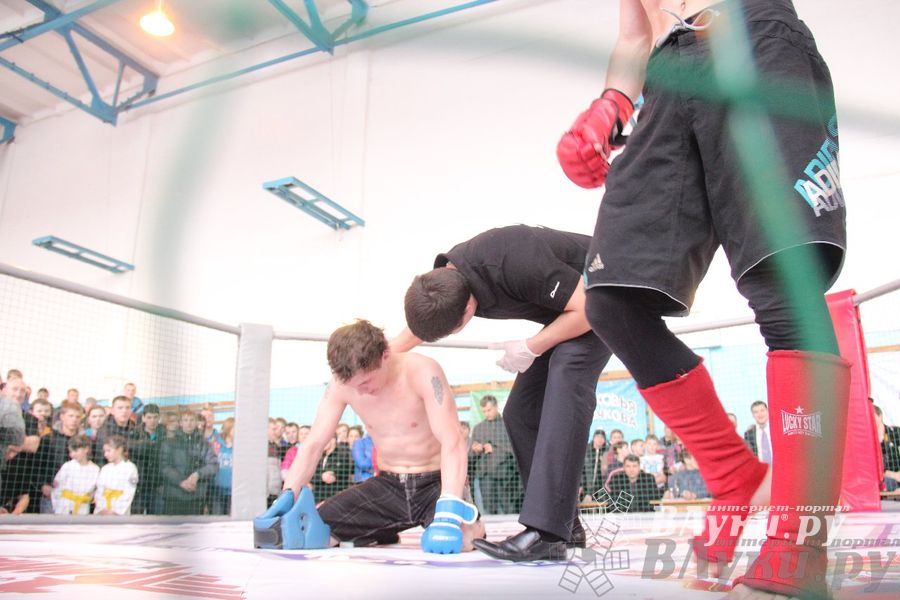 Первый чемпионат и первенство Псковской области по смешанным боевым искусствам «ММА»