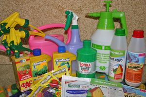 «Сударушка» приглашает...