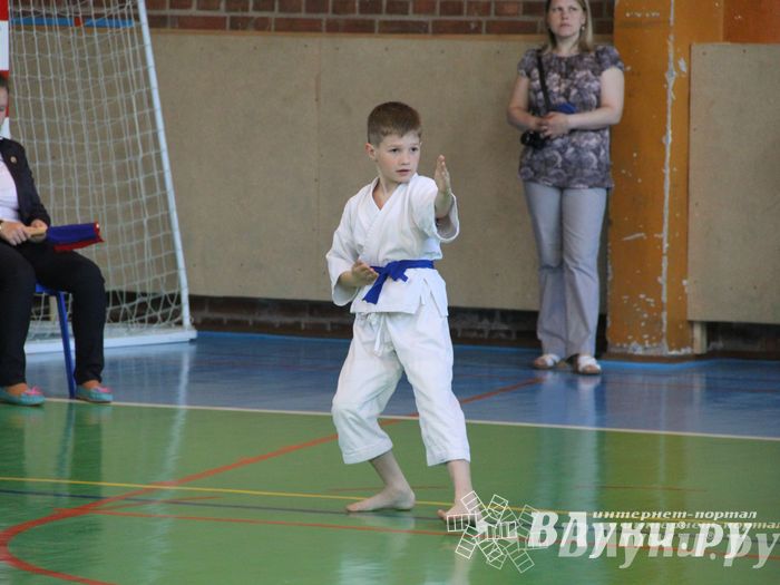Великолучане стали победителями турнира по каратэ «Неприкосновенный запас, дети — Отчизны 2015» (фото)