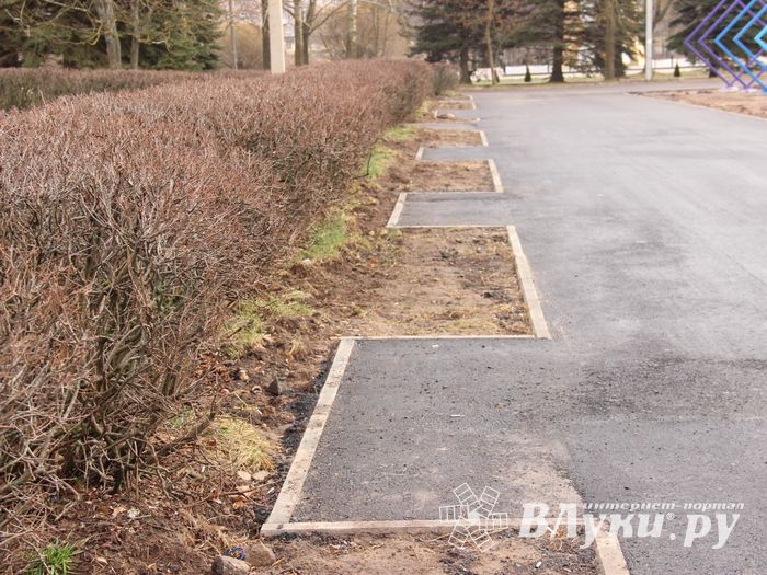Великолучане могут помериться ладошками (ФОТО)