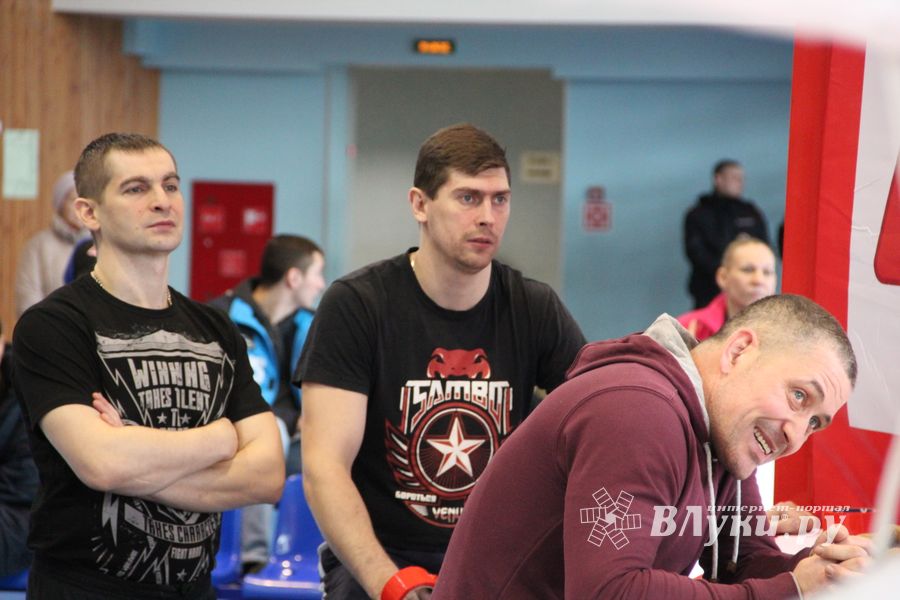 Открытый кубок по смешанному боевому единоборству ММА прошел в Великих Луках (ФОТО)