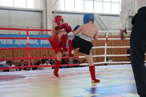 В Великих Луках прошел Кубок области по кикбоксингу (ФОТО)