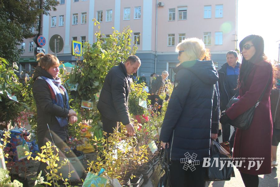 В Великих Луках прошла универсальная осенняя ярмарка (ФОТО)