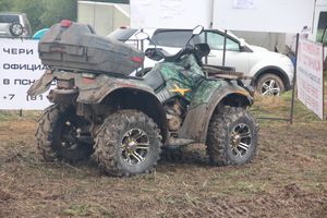 Кураж (ФОТО)