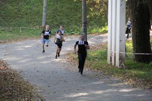 Легкоатлетический осенний кросс прошел в Великих Луках (фоторепортаж)