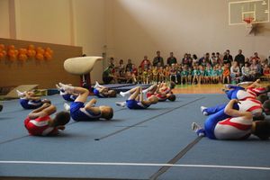 Парад гимнастики