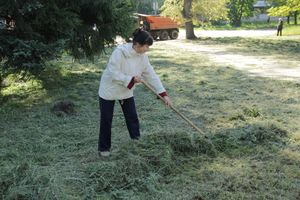 В Великих Луках убрали территорию у памятного знака рабочим ЛРЗ (ФОТО)