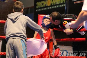 Открытие 16-го  Международного турнира по боксу