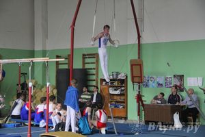 В Великих Луках прошел турнир по спортивной гимнастике (фото)