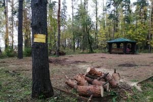 В Великих Луках создали «Парк под открытым небом» (ФОТО)