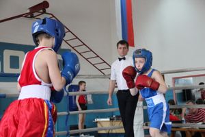 В Великих Луках прошло Первенство города по боксу (ФОТО)