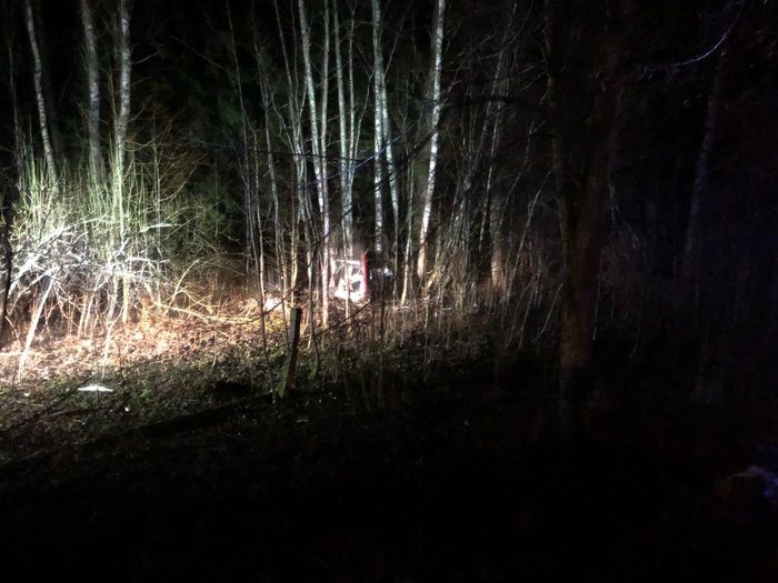 В ДТП под Себежем погибла семья (ФОТО)