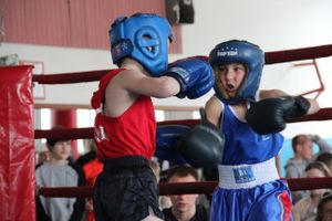В Великих Луках прошло Первенство города по боксу (ФОТО)