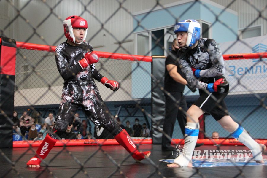 В Великих Луках прошел кубок по смешанному боевому единоборству (ФОТО)