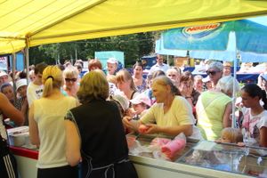 В городском парке Великих Лук прошёл День мороженого