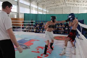 В Великих Луках прошел Кубок области по кикбоксингу (ФОТО)