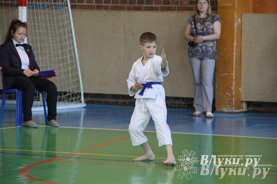 Великолучане стали победителями турнира по каратэ «Неприкосновенный запас, дети — Отчизны 2015» (фото)