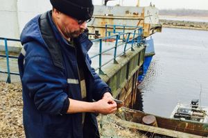 Фото предоставлено Северо-Западным территориальным Росрыболовством