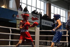 16-й Международный турнир по боксу (фото)