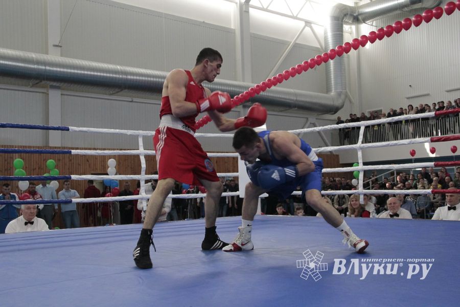 Матчевая встреча по боксу Великие Луки —Псков — Грозный (ФОТО)