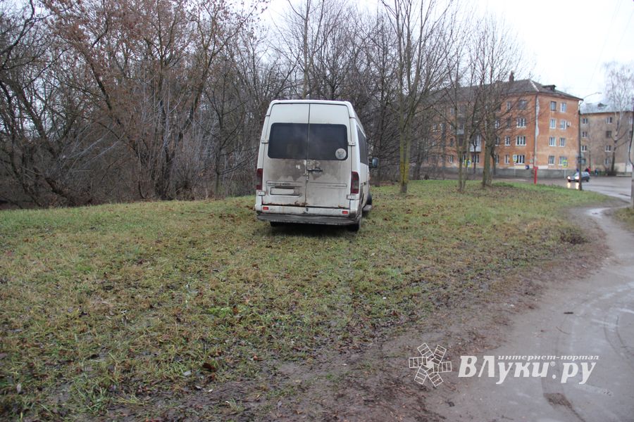 На улице Пушкина водитель врезался в дерево (ФОТО)