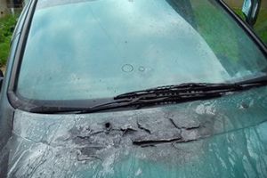 В Псковской области сгорел автомобиль (ФОТО)