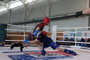 В Великих Луках прошло Первенство России по смешанному боевому единоборству (ФОТО)