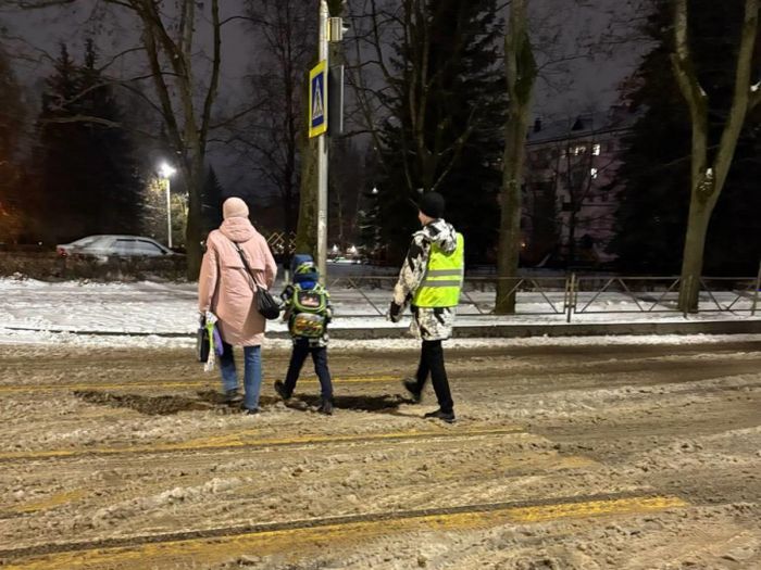 Фото: УМВД России по Псковской области