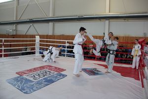 В Великих Луках проходит открытый кубок по смешанному боевому единоборству ММА (ФОТО) (12+)