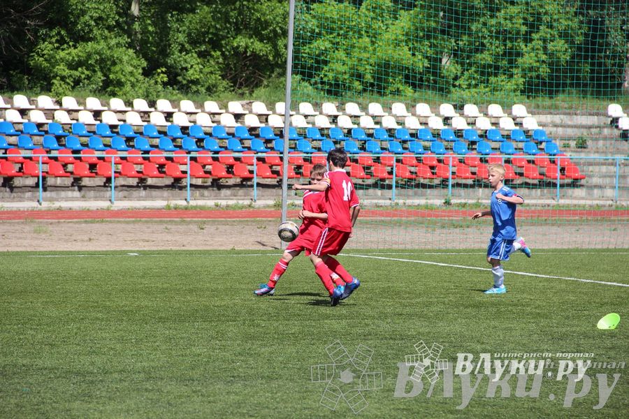 «Локобол-2013» в Великих Луках