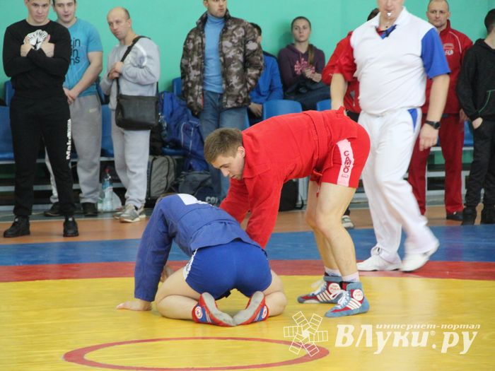 Самбисты поборолись на крупном турнире в Великих Луках (ФОТО)