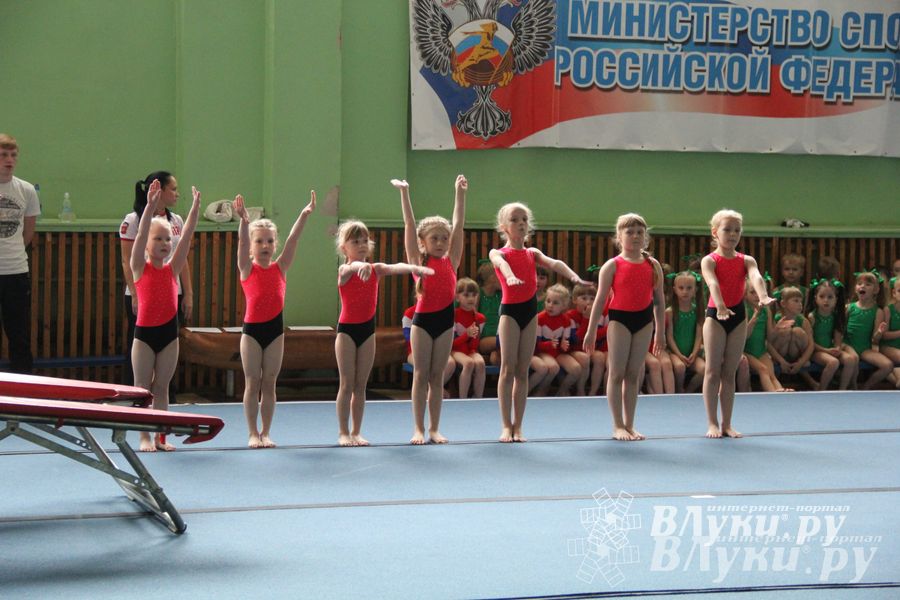 В Великих Луках состоялось Первенство по командной гимнастике (фото)