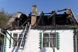 В Псковской области сгорел дом (фото)